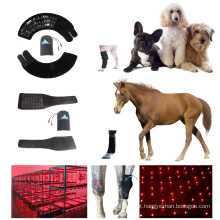 shetland pony horse dancing horse healing therapy led lamp